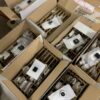 Buy Apple Watch pallets wholesale
