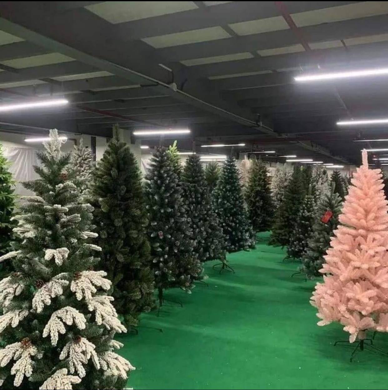 Christmas tree liquidation pallets